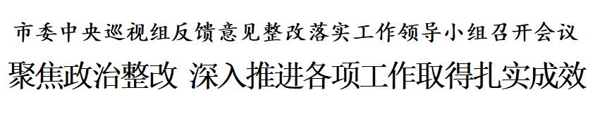 天津：聚焦政治整改 深入推进各项工作取得扎实成效