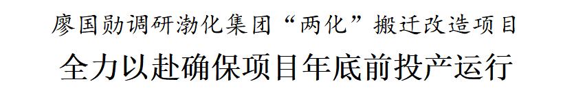 廖国勋调研渤化集团“两化”搬迁改造项目